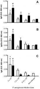 Pulmonary immune responses induced in BALB/c mice by Paracoccidioides brasiliensis conidia